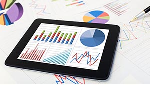 Audit et contrôle de l'actif immobilisé Audit et contrôle de l'actif immobilisé